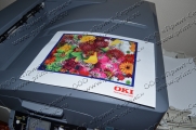 OKI C9655n демонстрационная печать